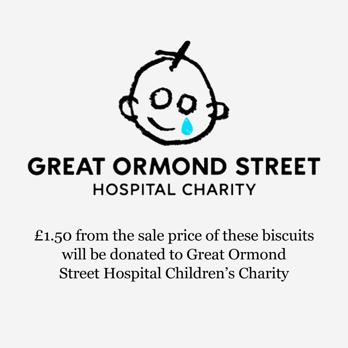 3D DIY Elephant Letterbox Kit - Biscuiteers