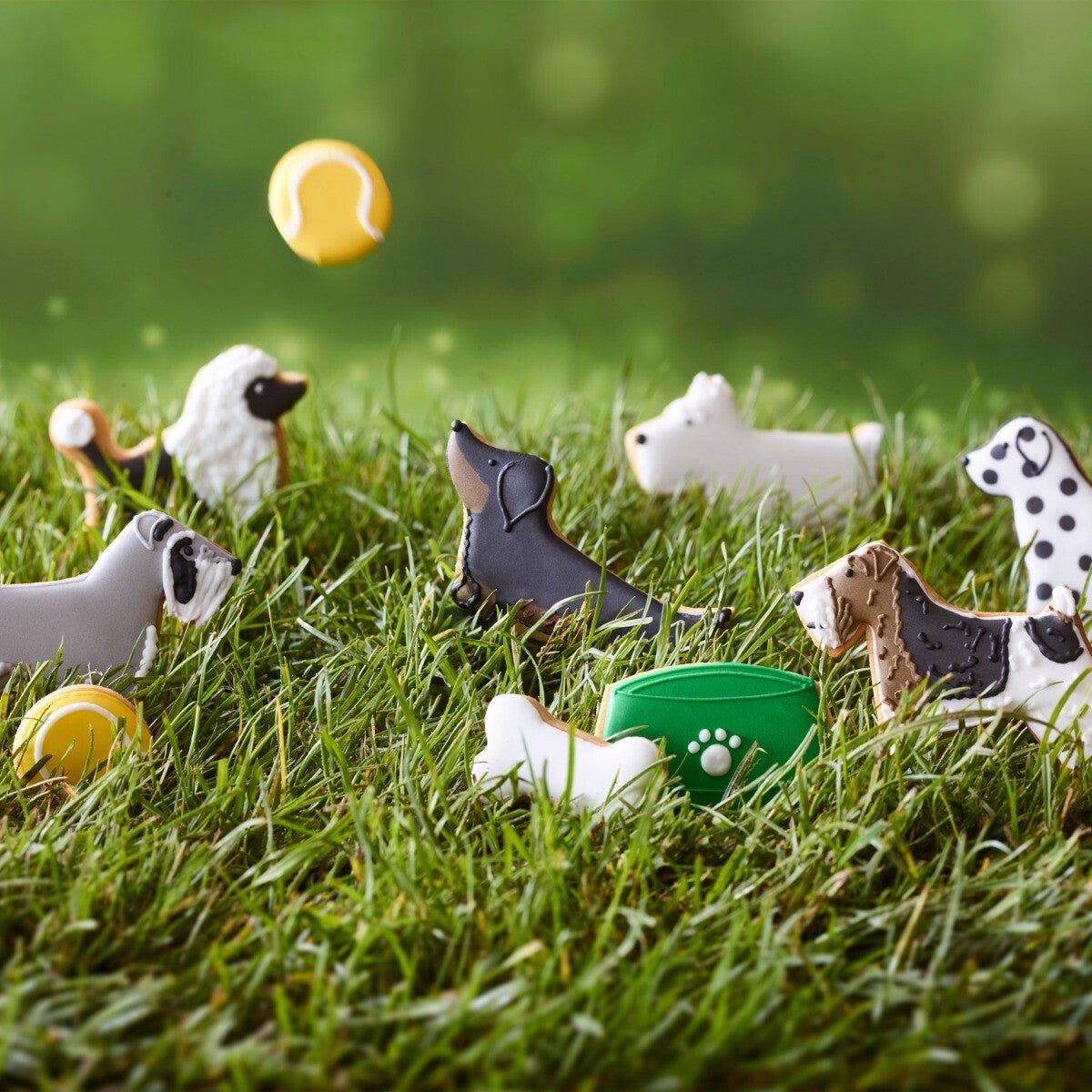 Best In Show Biscuit Tin - Biscuiteers