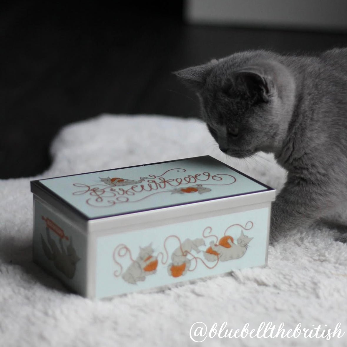 Cat Biscuit Tin - Biscuiteers