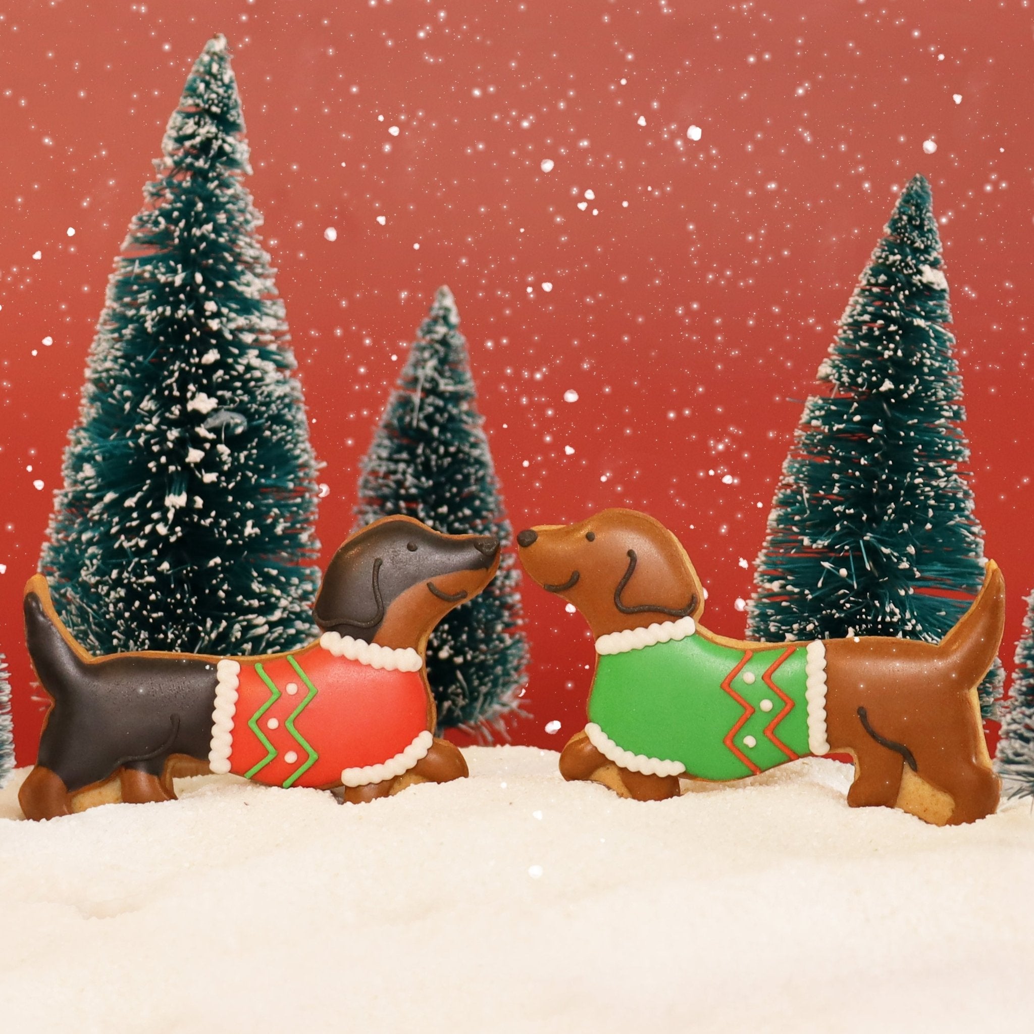 Christmas Sausage Dogs Letterbox Biscuits - Biscuiteers