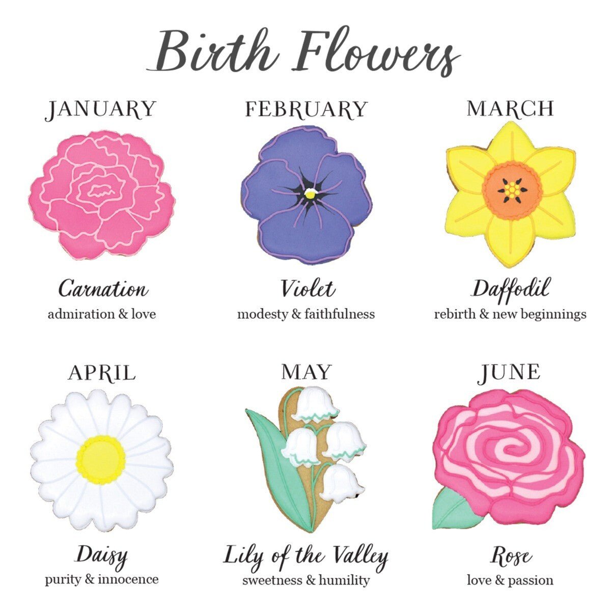 Chrysanthemum November Birth Flower Letterbox Biscuit - Biscuiteers