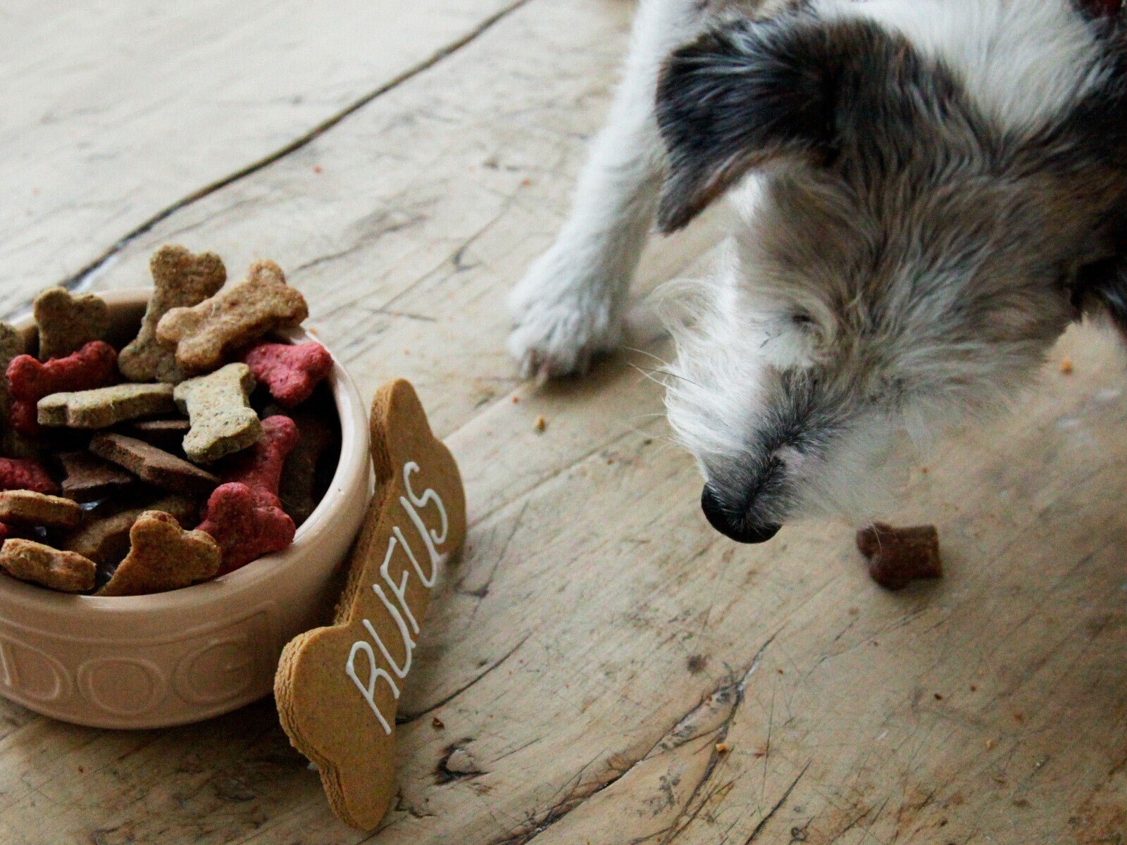 Days Of The Week Doggy Treats - Biscuiteers