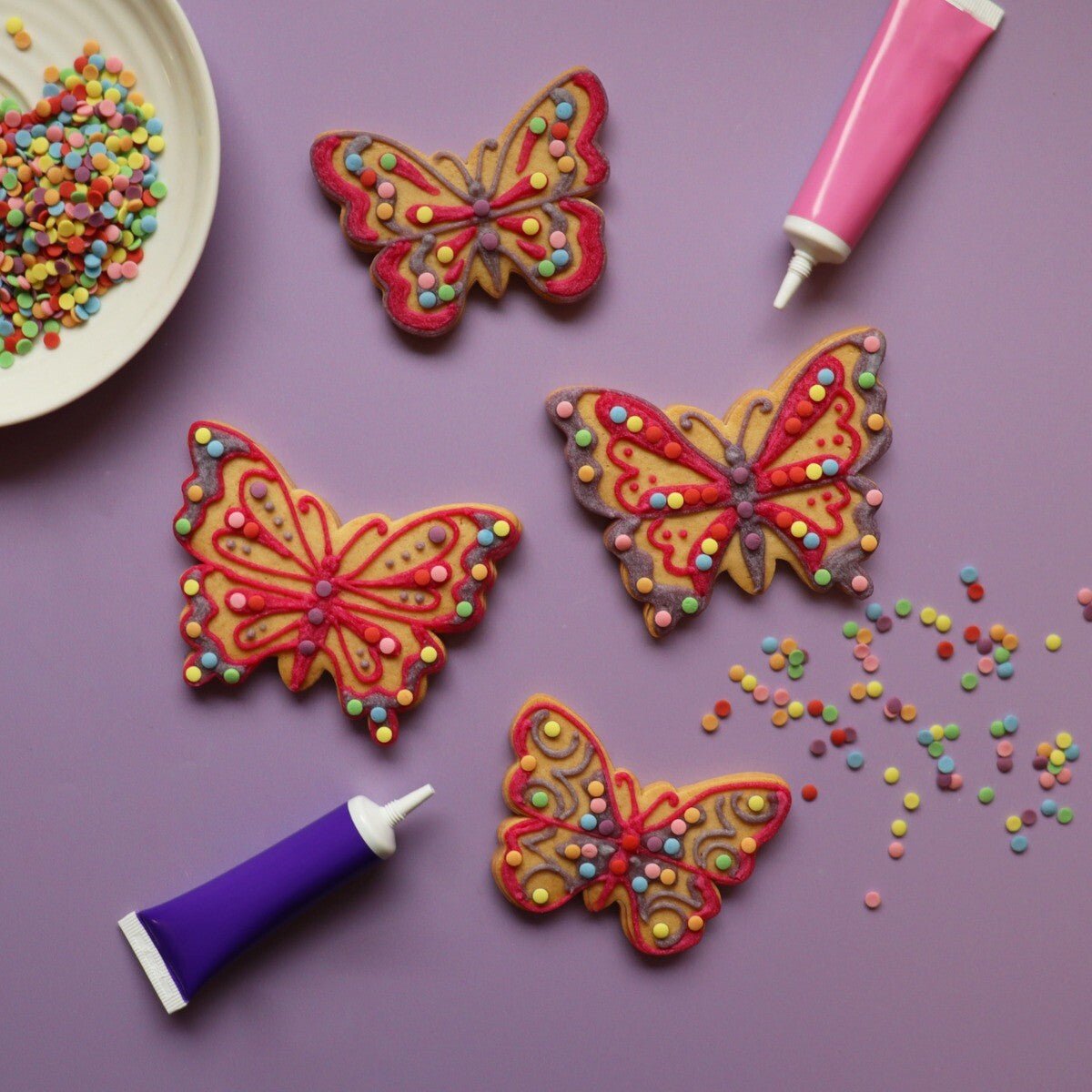 Diy Butterfly Letterbox Kit - Biscuiteers