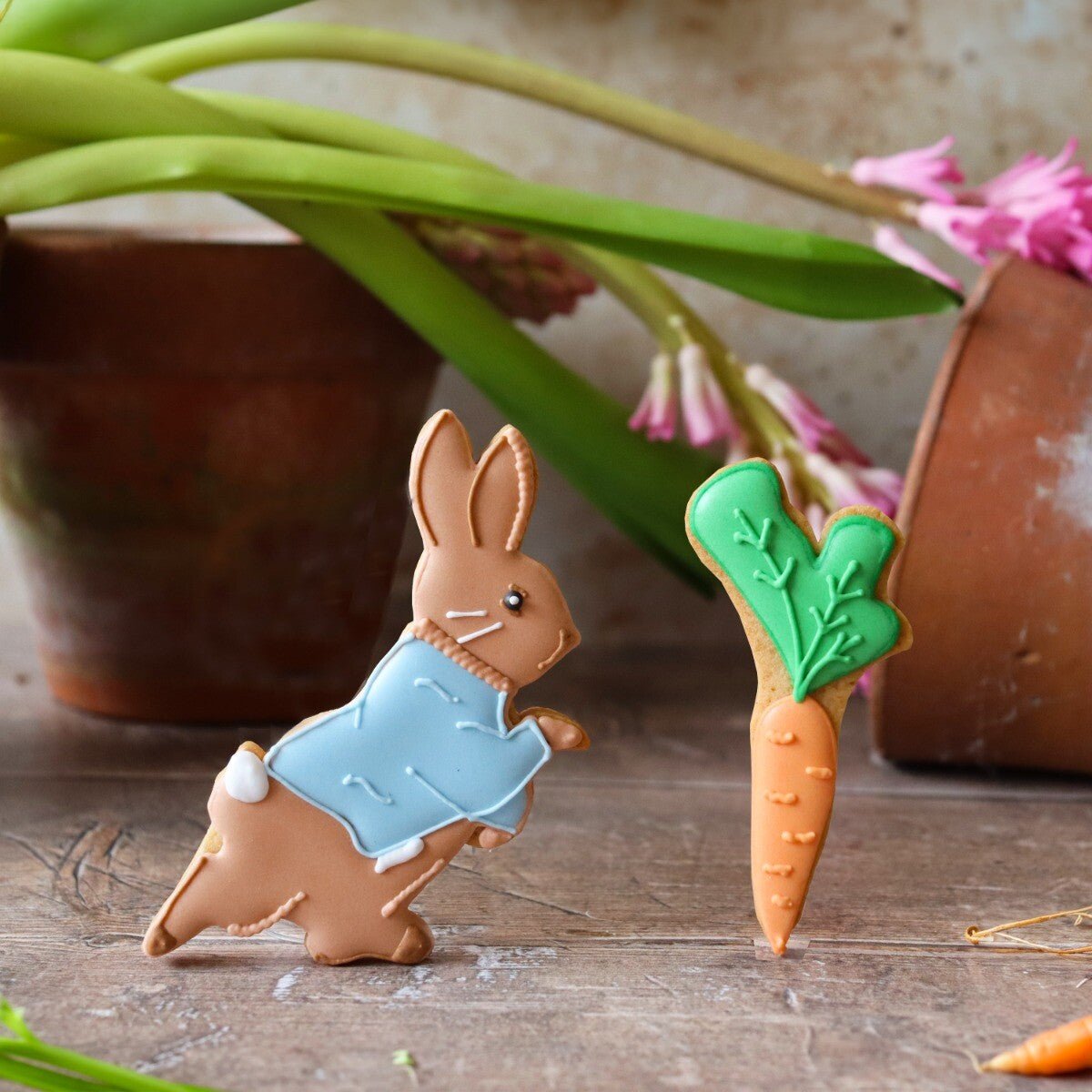 Peter Rabbit Letterbox Biscuits - Biscuiteers