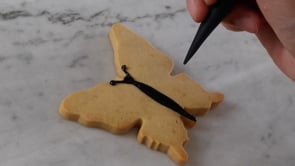 Vegan Butterfly Biscuit Tin