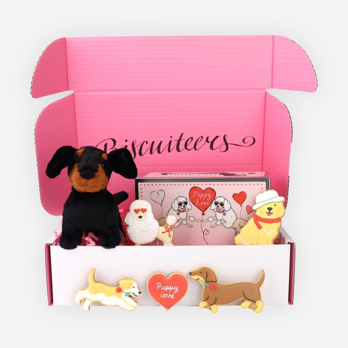 Puppy Love Gift Box - Biscuiteers
