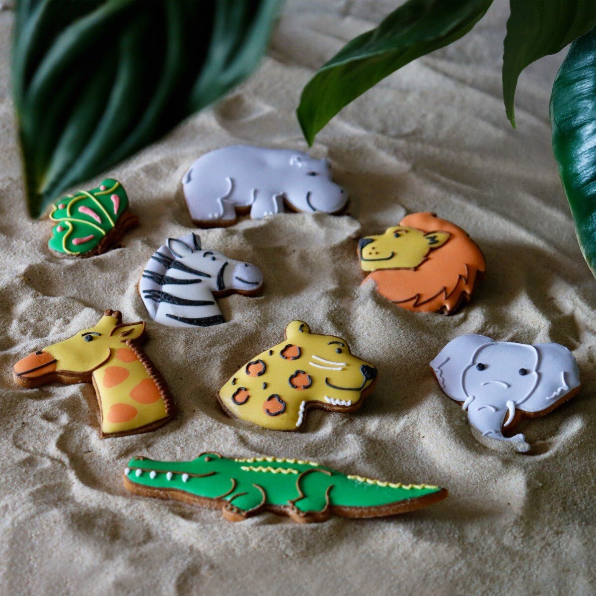 Safari Medium Biscuit Tin - Biscuiteers