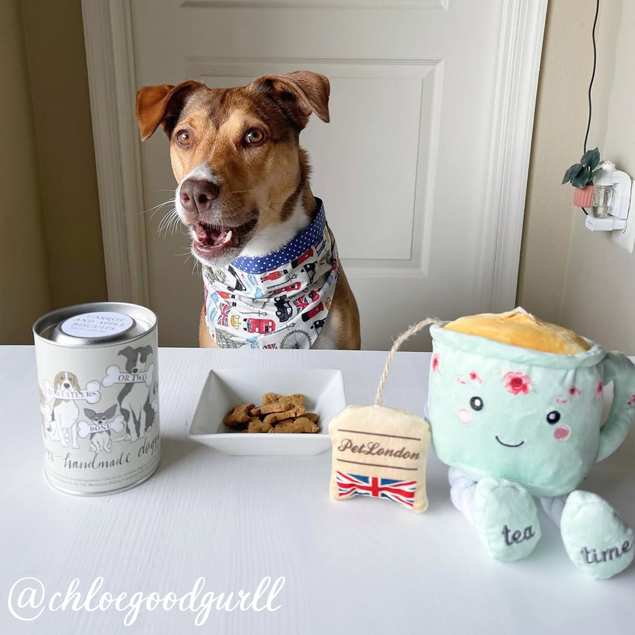 Sweet Potato Doggy Treats - Biscuiteers