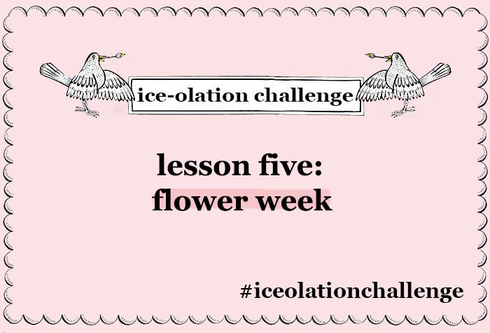 Biscuiteers Ice-olation Challenge: Lesson Five, Flower Week - Biscuiteers