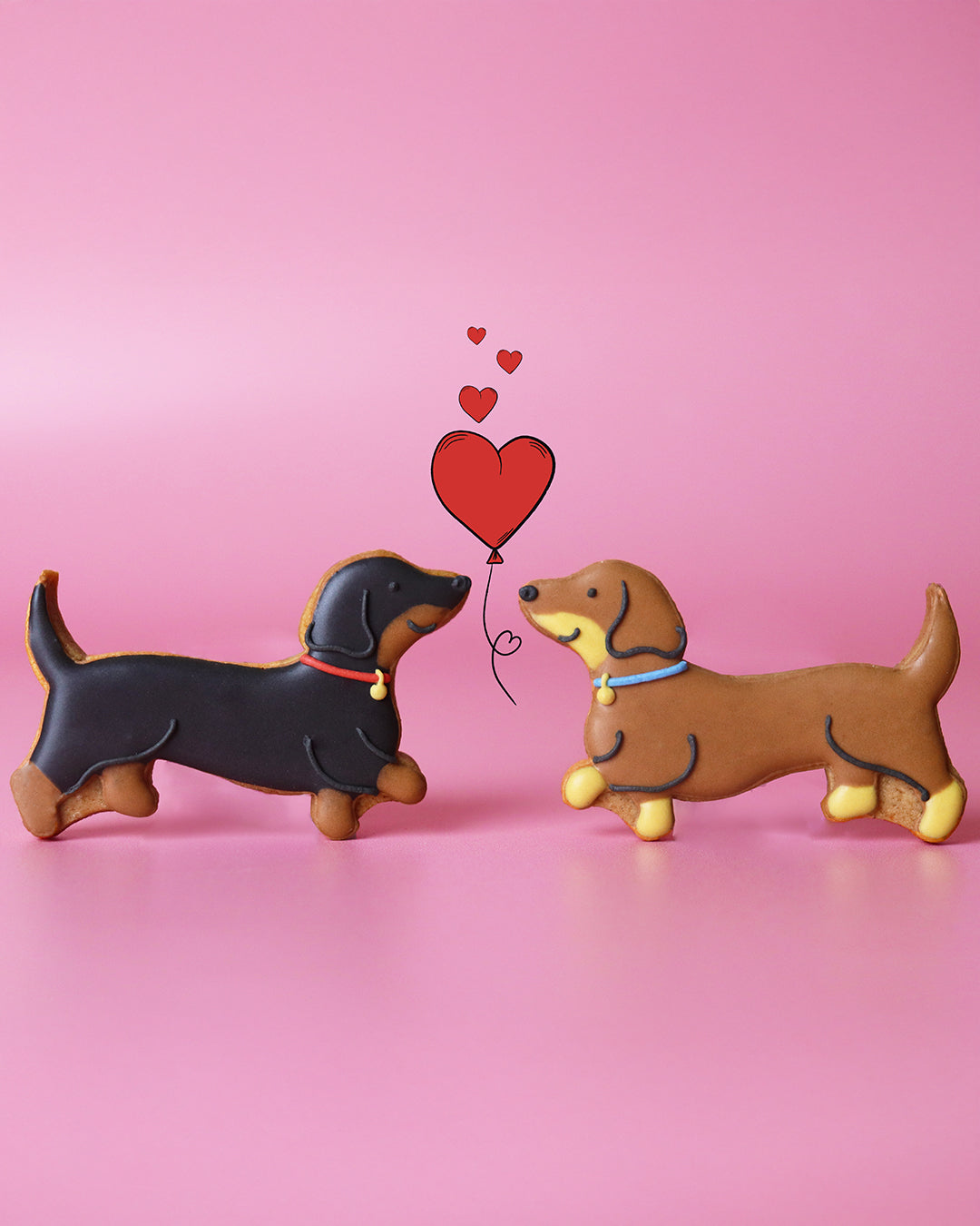 Gifts For Animal Lovers - Biscuiteers