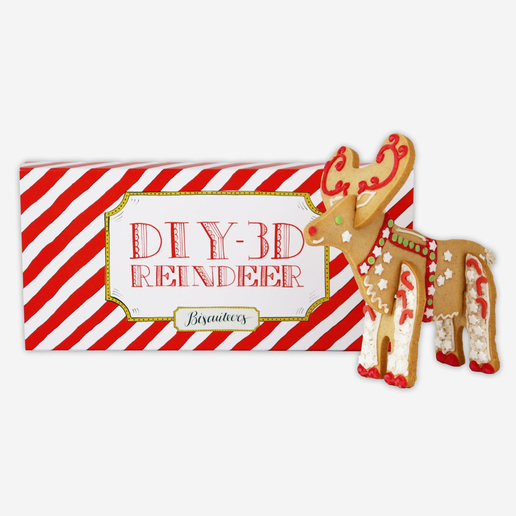 3D Reindeer Letterbox Diy Kit - Biscuiteers