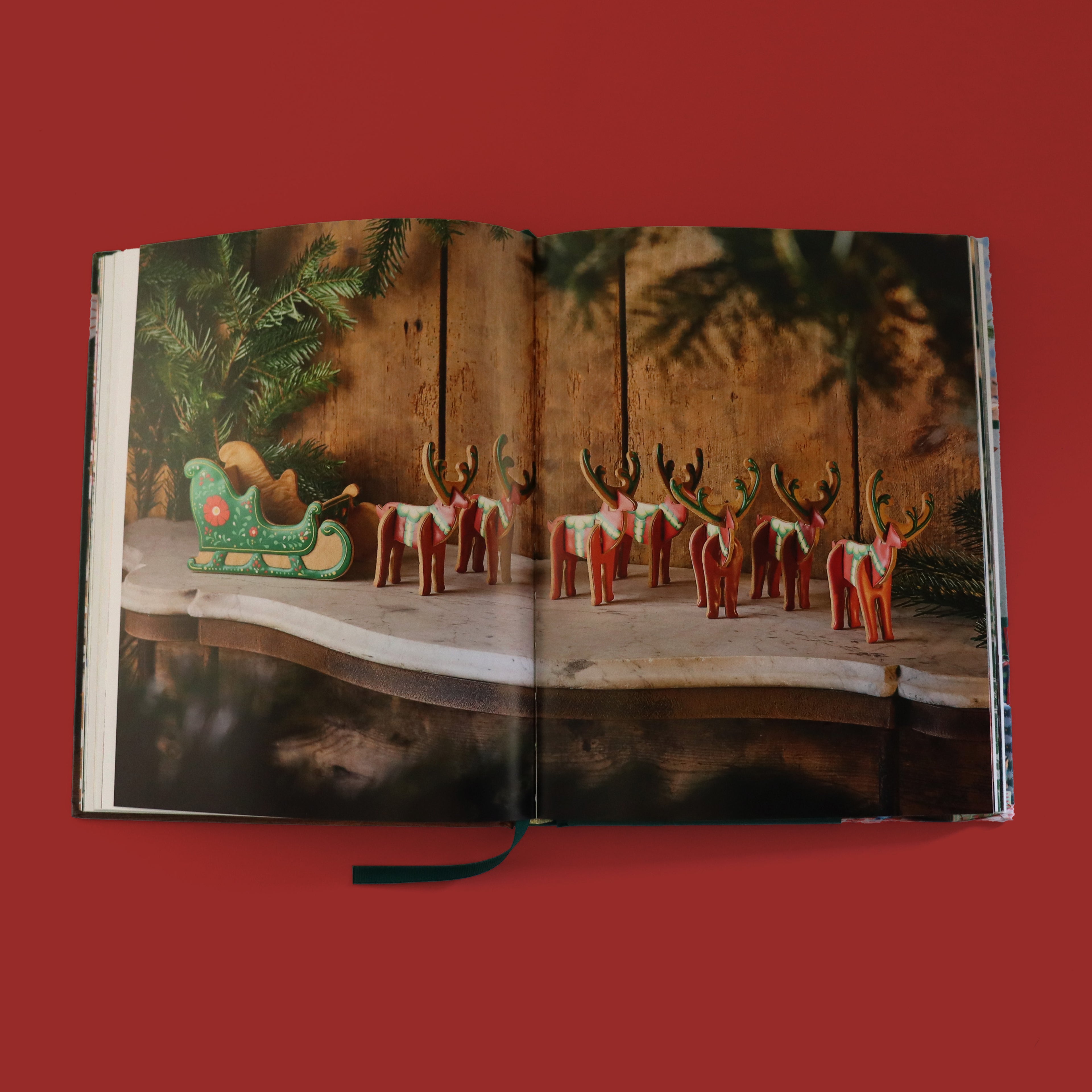 An Iced Christmas Book