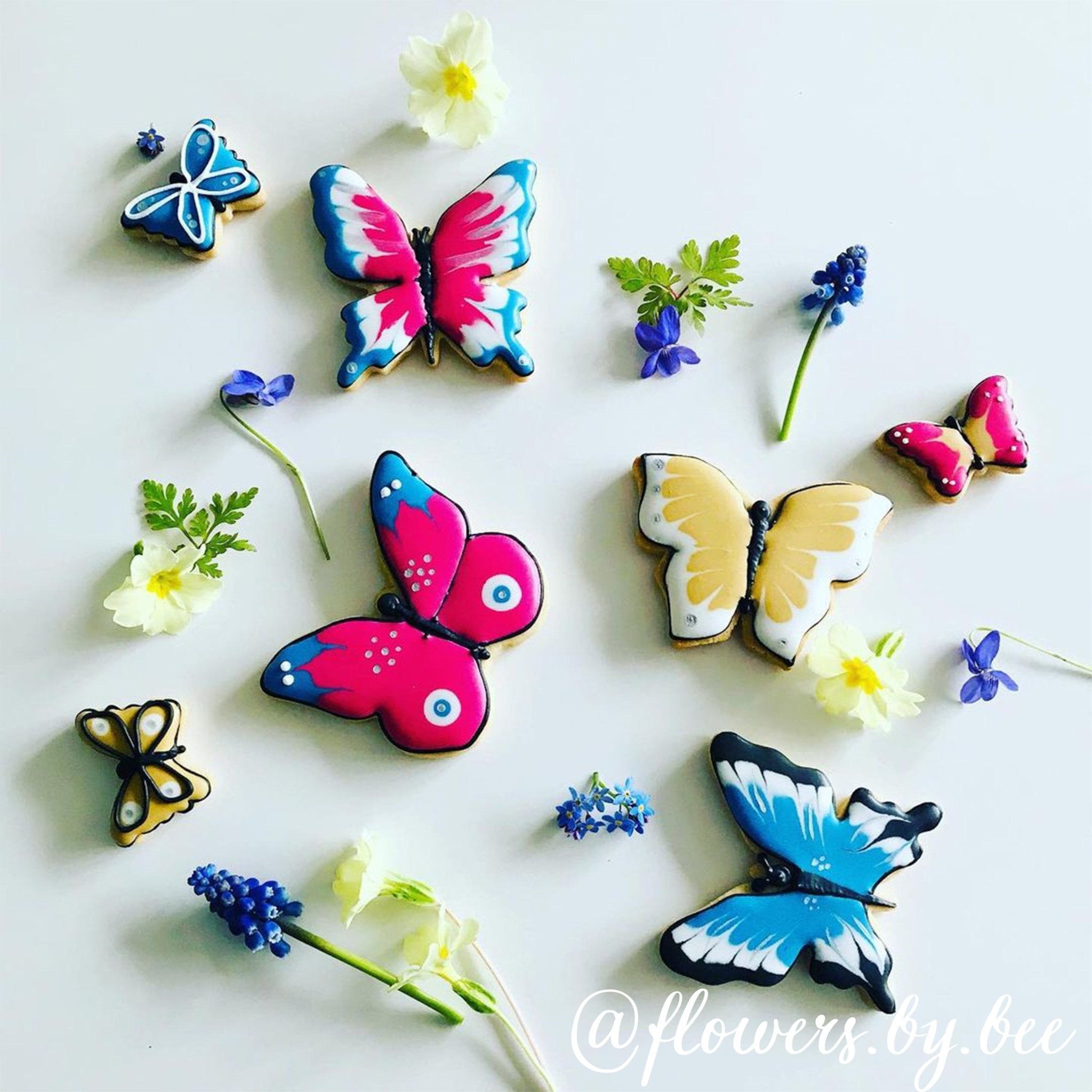 Beautiful Butterflies - Biscuiteers
