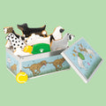 Best In Show Biscuit Tin - Biscuiteers