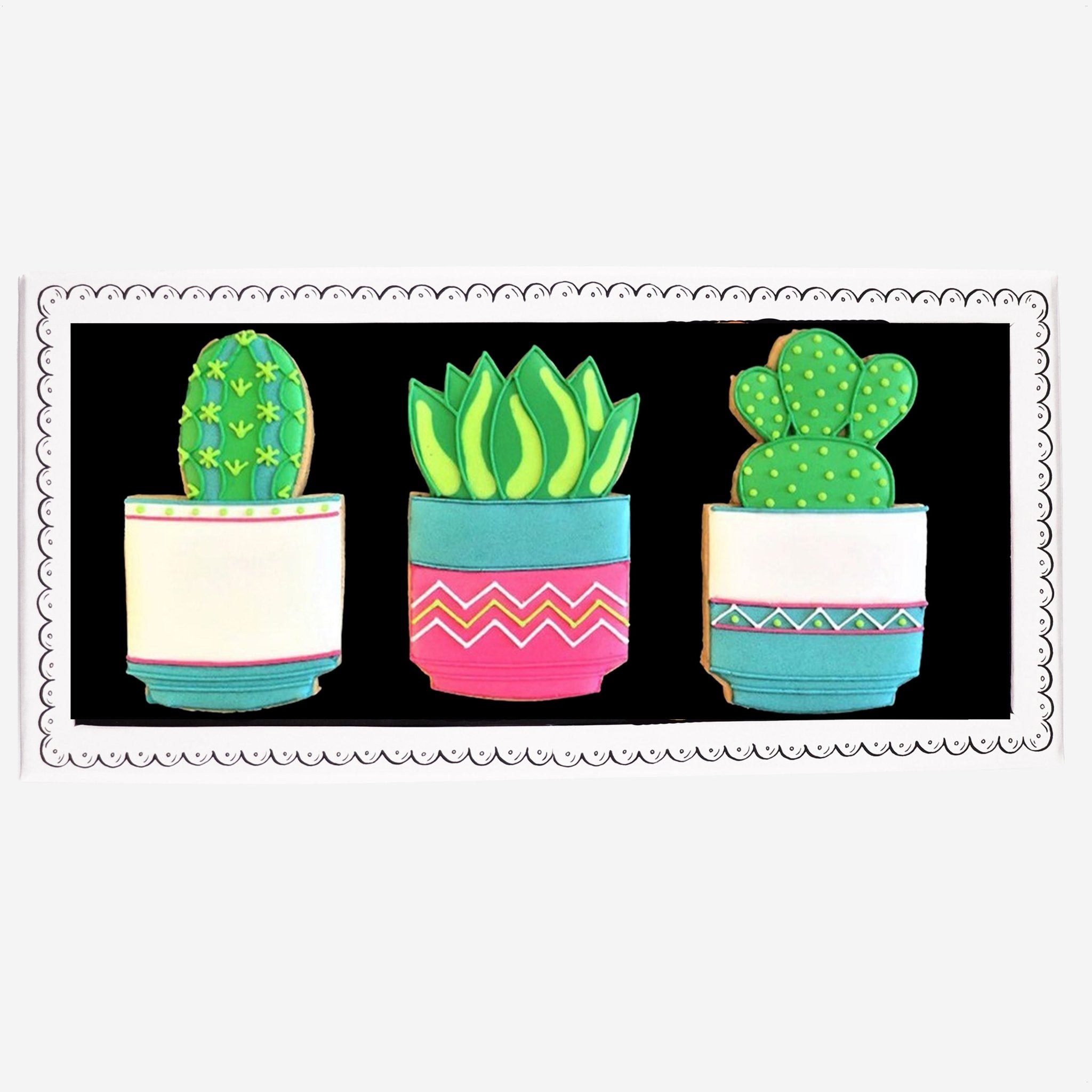 Cacti And Succulents Letterbox Biscuits - Biscuiteers