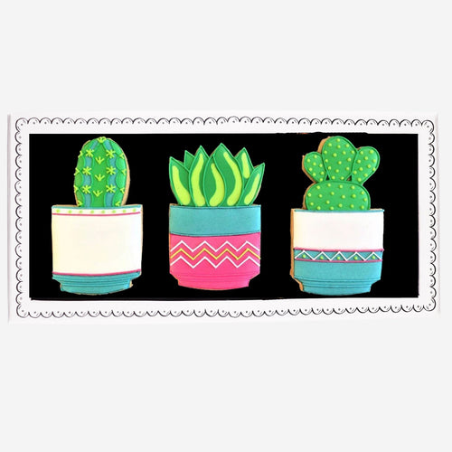 Cacti And Succulents Letterbox Biscuits - Biscuiteers