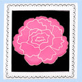 Carnation January Birth Flower Letterbox Biscuit - Biscuiteers
