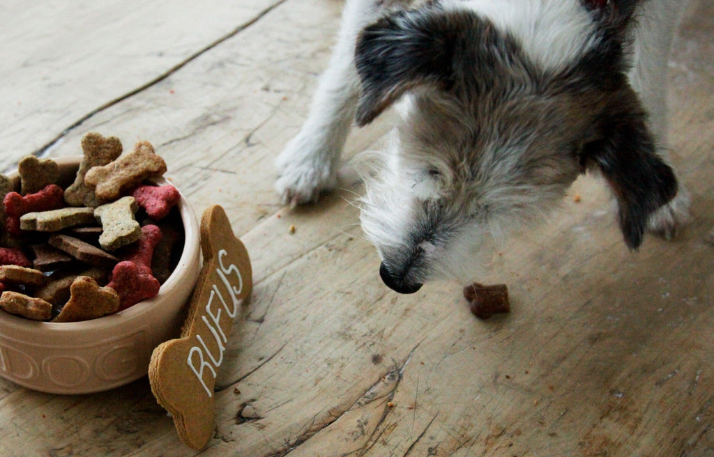 Cinnamon Doggy Biscuit Treats - Biscuiteers