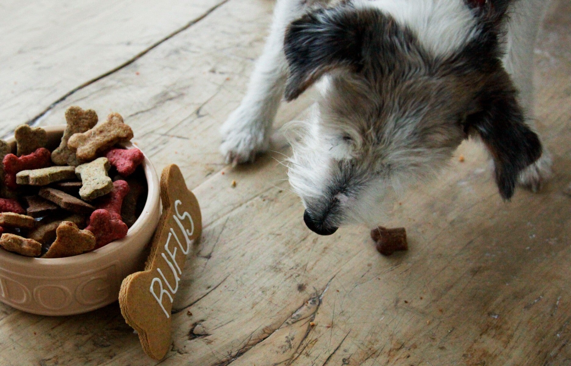Cinnamon Doggy Biscuit Treats - Biscuiteers