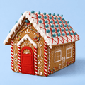 DIY Gingerbread House Kit - Biscuiteers