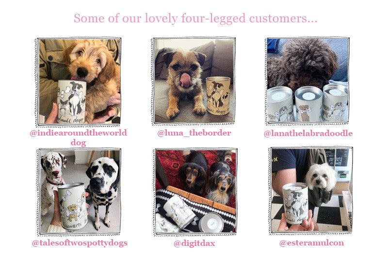 Doggy Treats Gift Set - Biscuiteers