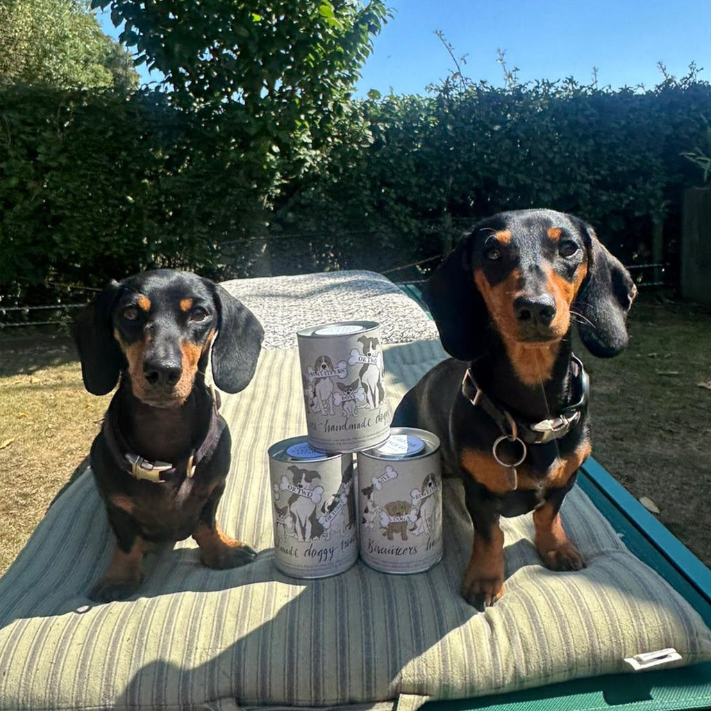 Doggy Treats Gift Set - Biscuiteers