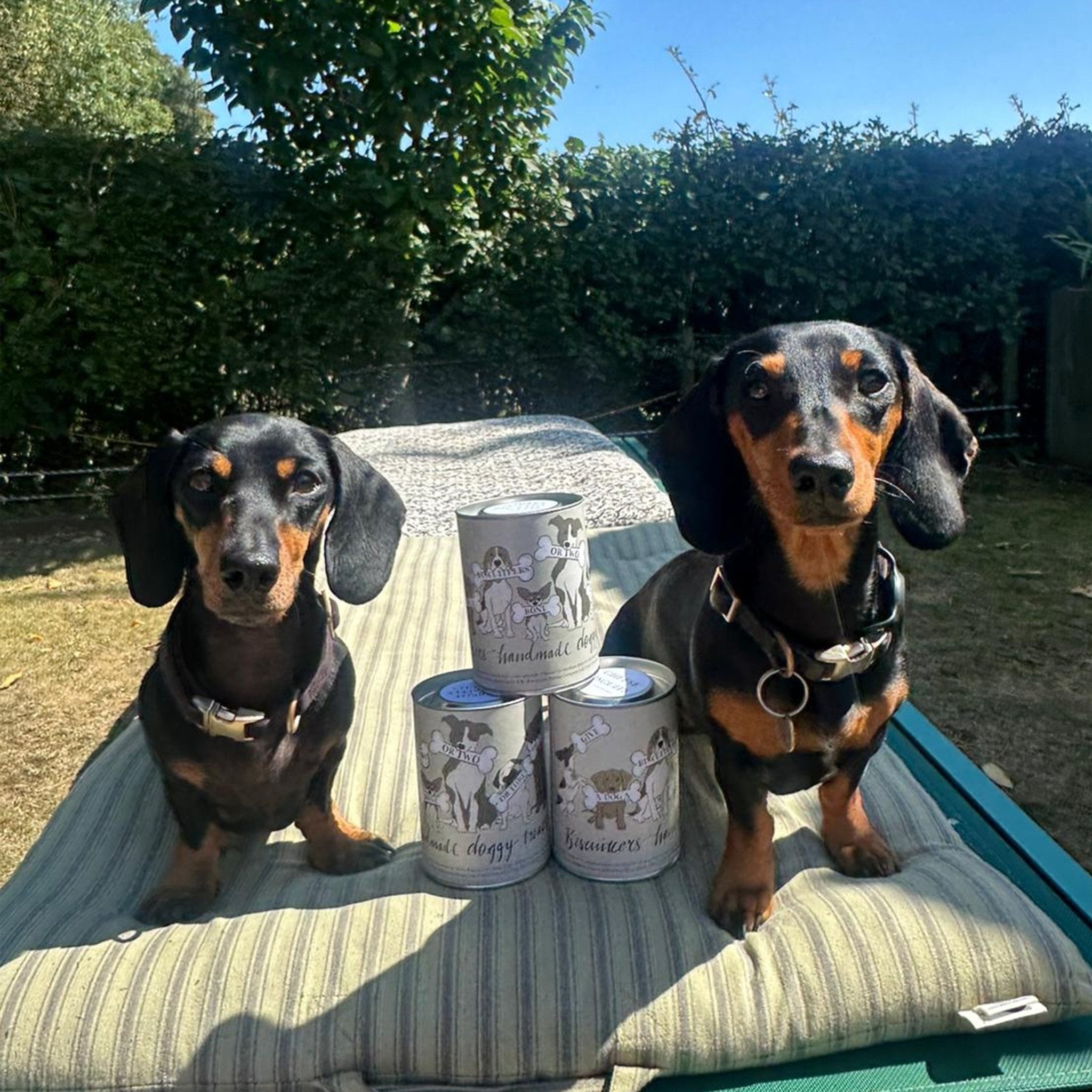 Doggy Treats Gift Set - Biscuiteers