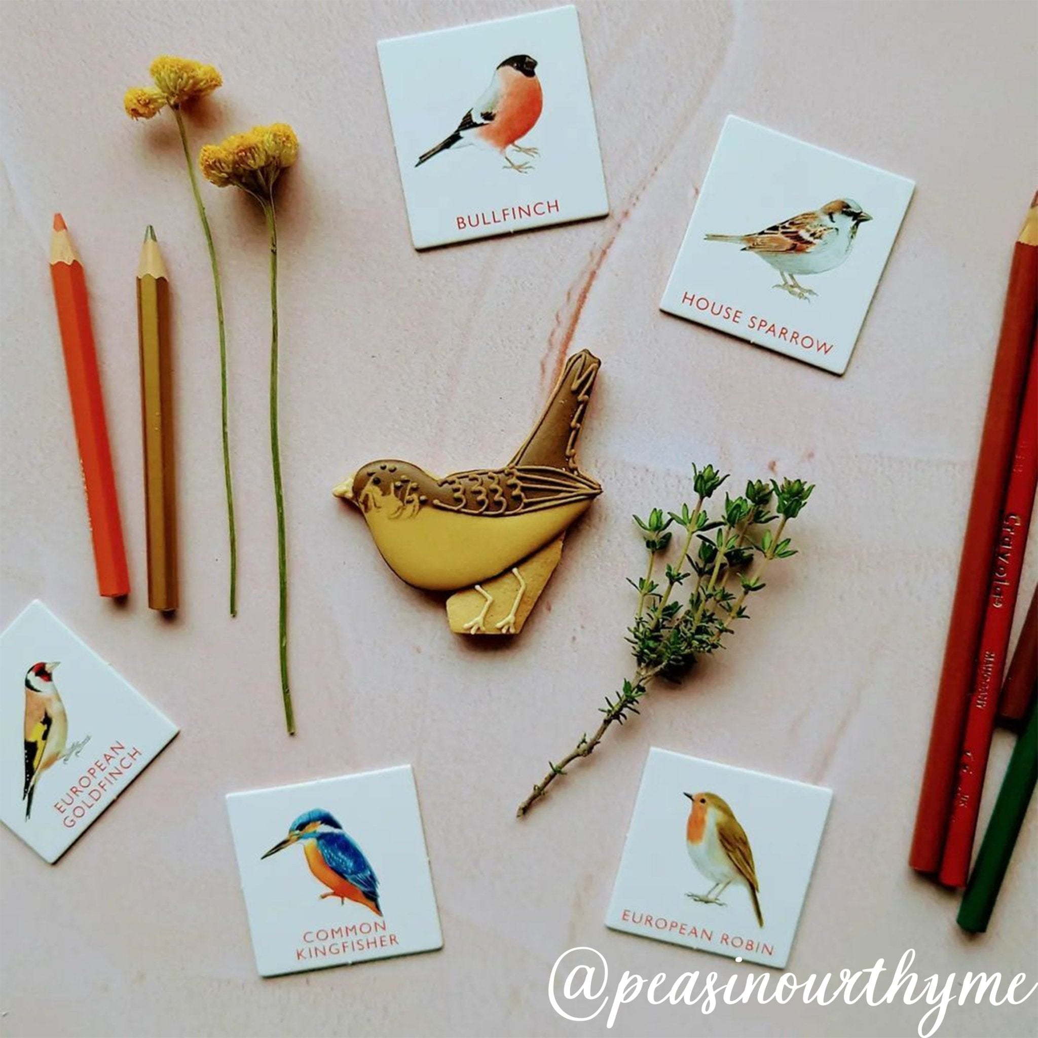Garden Birds Letterbox Biscuits - Biscuiteers