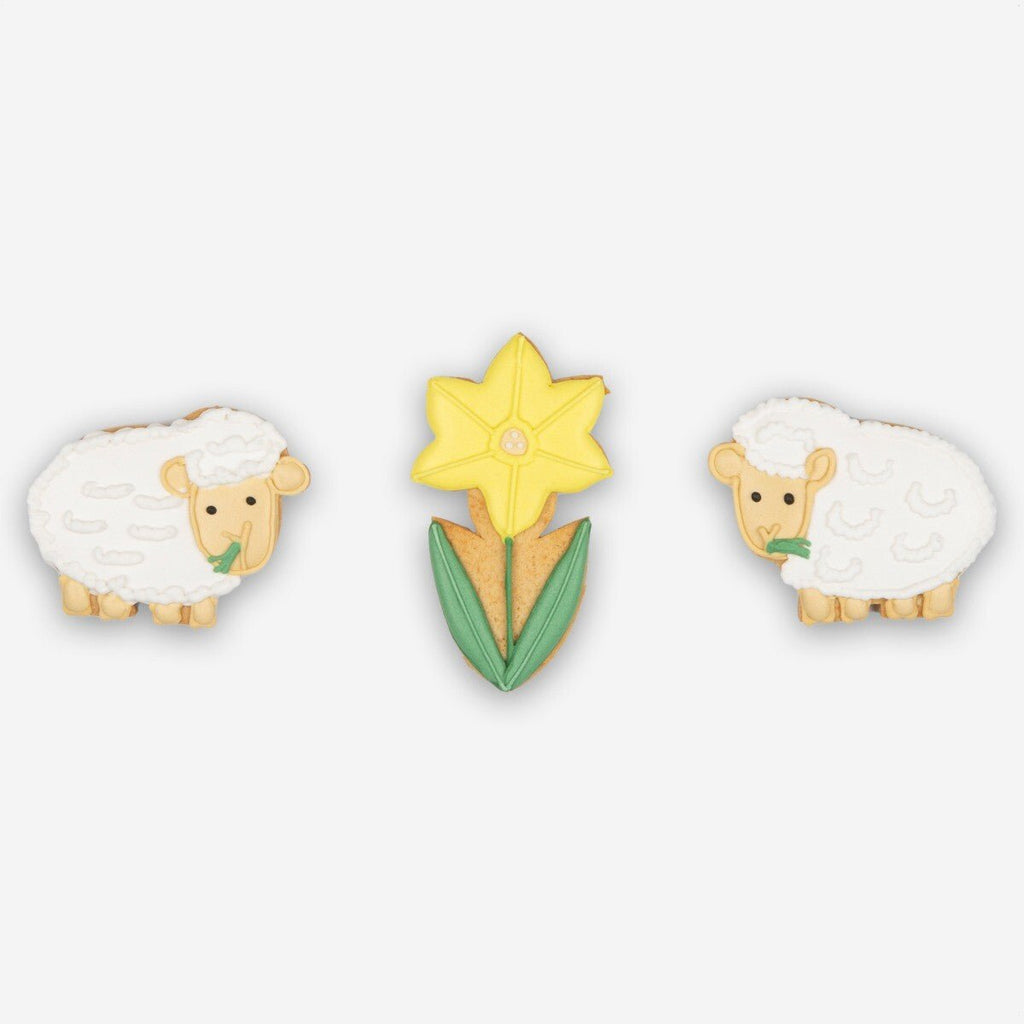 Lambs Letterbox Biscuits - Biscuiteers