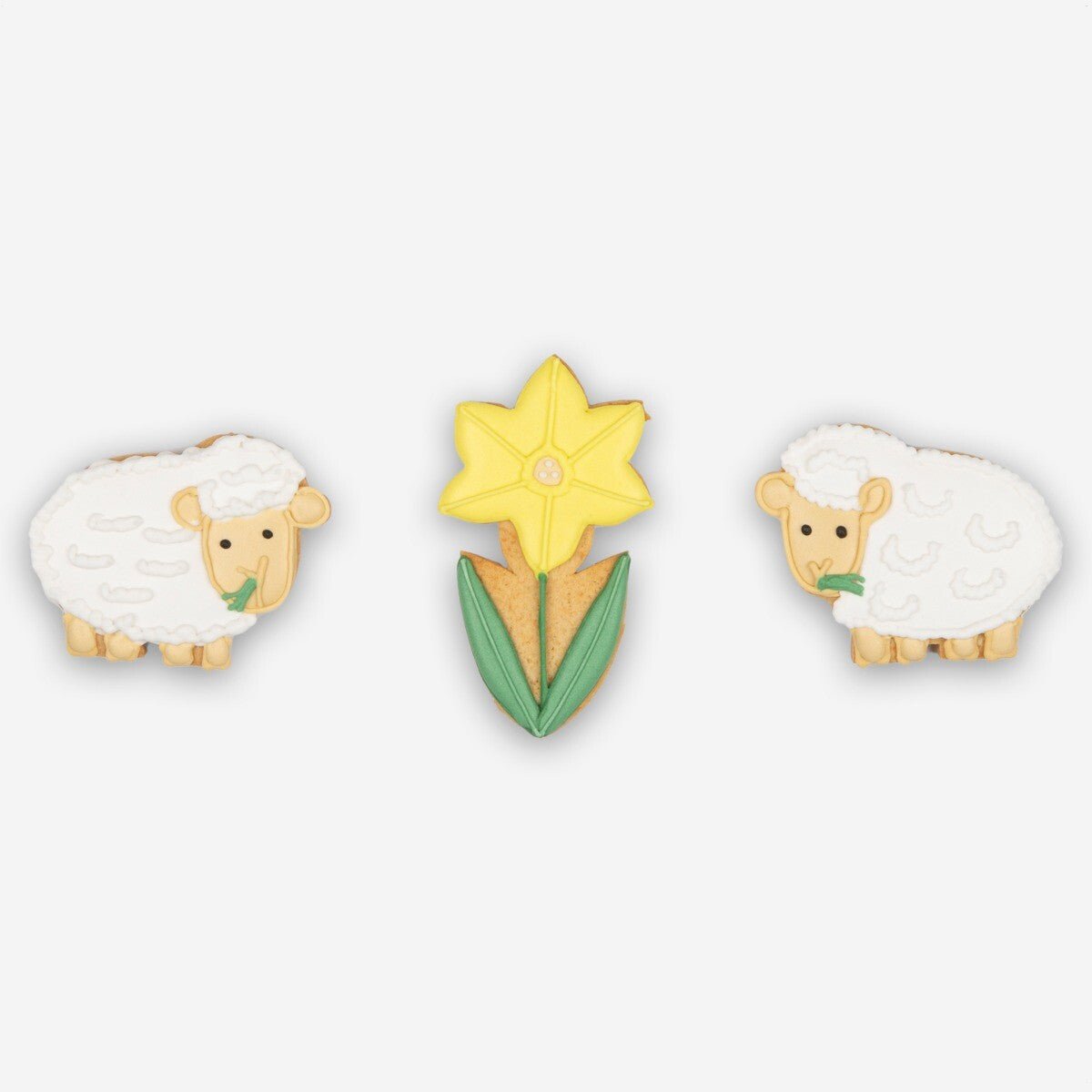 Lambs Letterbox Biscuits - Biscuiteers