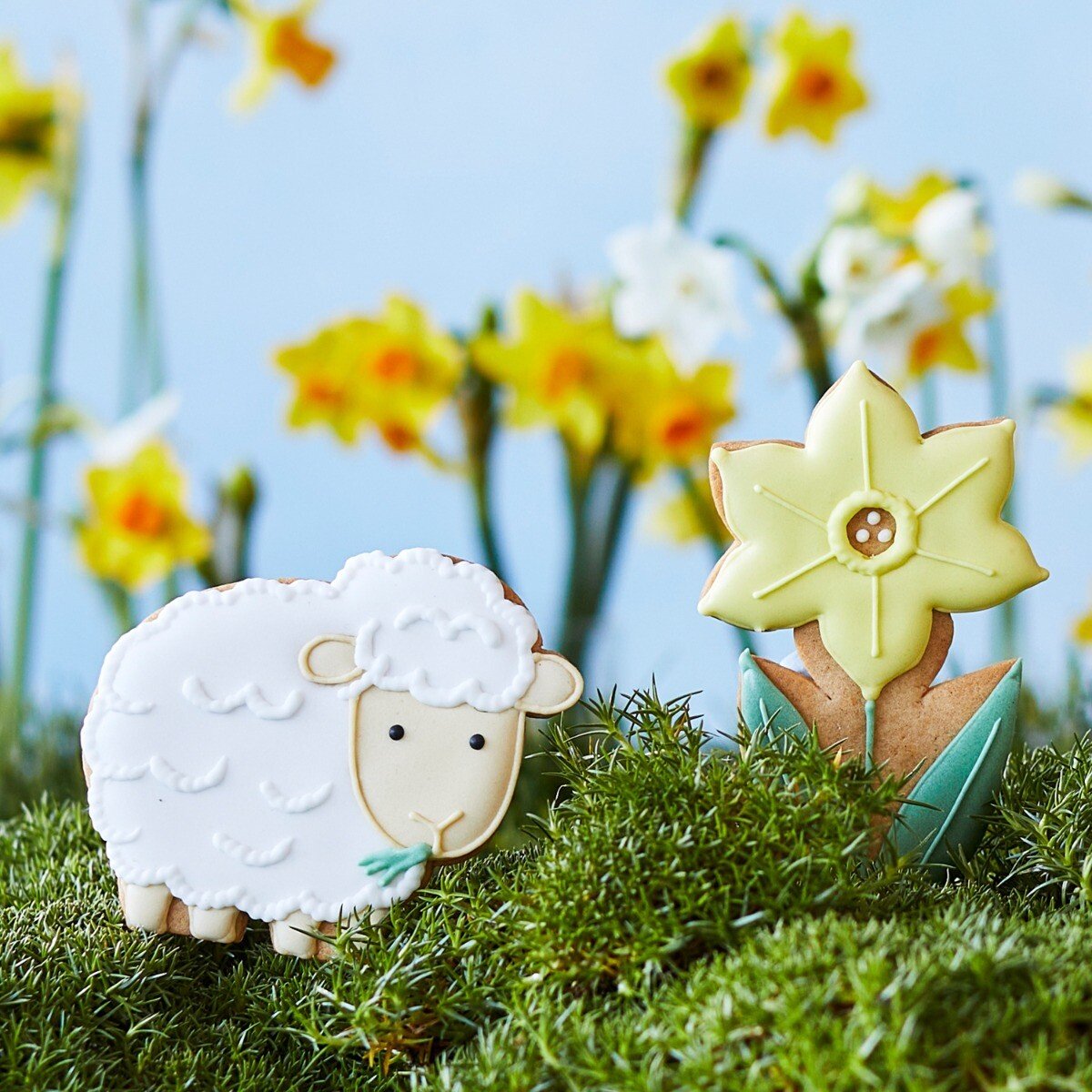Lambs Letterbox Biscuits - Biscuiteers
