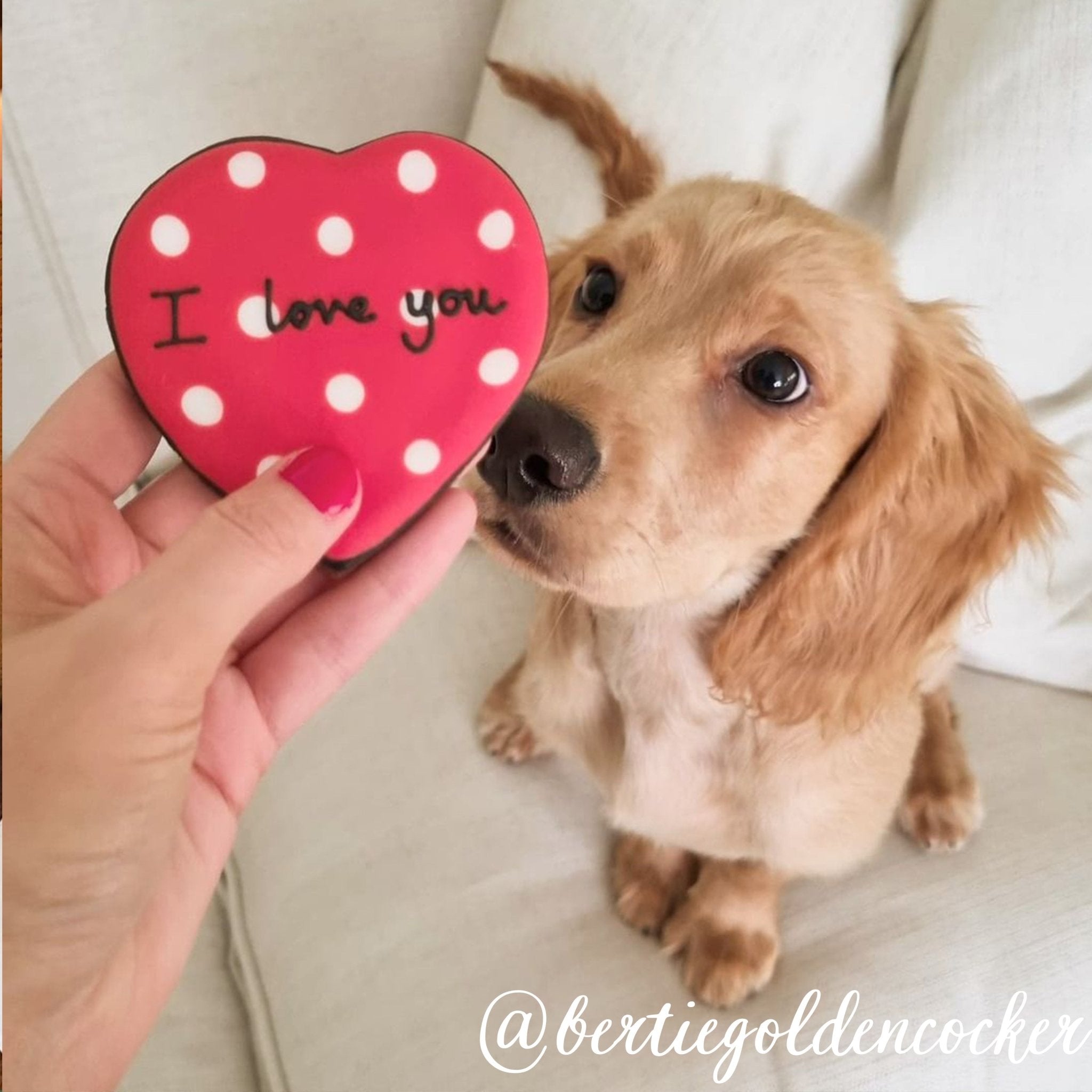 Personalised I Love You Mini Gift Box - Biscuiteers