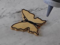 Beautiful Butterflies