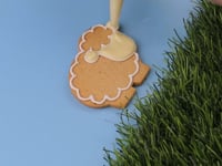 Lambs Letterbox Biscuits