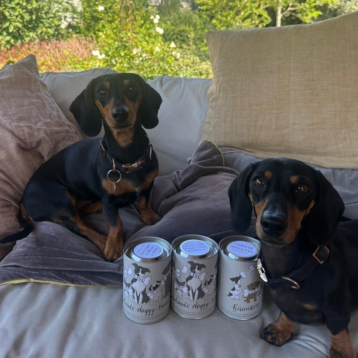 Sweet Potato Doggy Treats - Biscuiteers