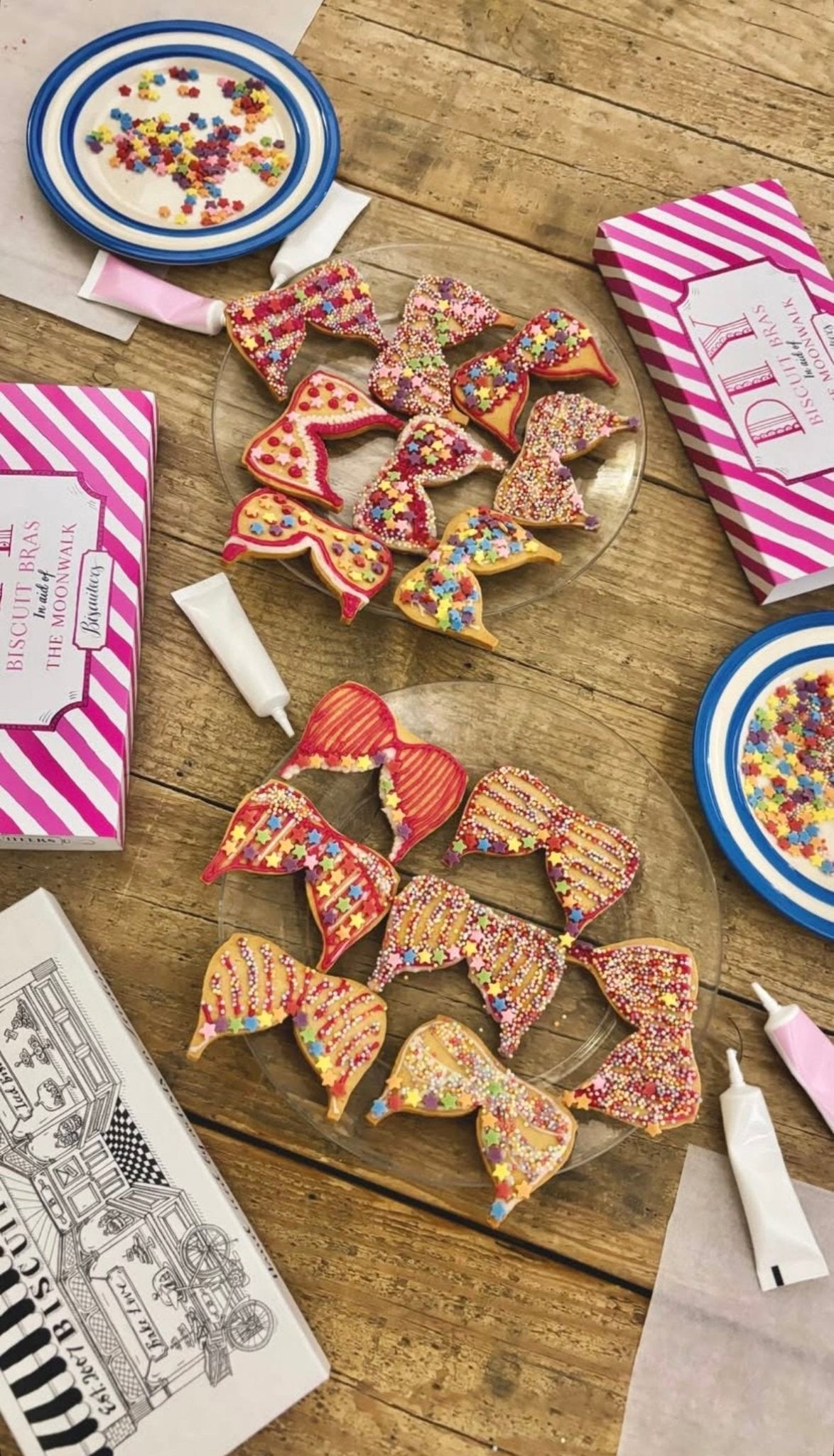 The MoonWalk DIY Biscuit Bras - Biscuiteers