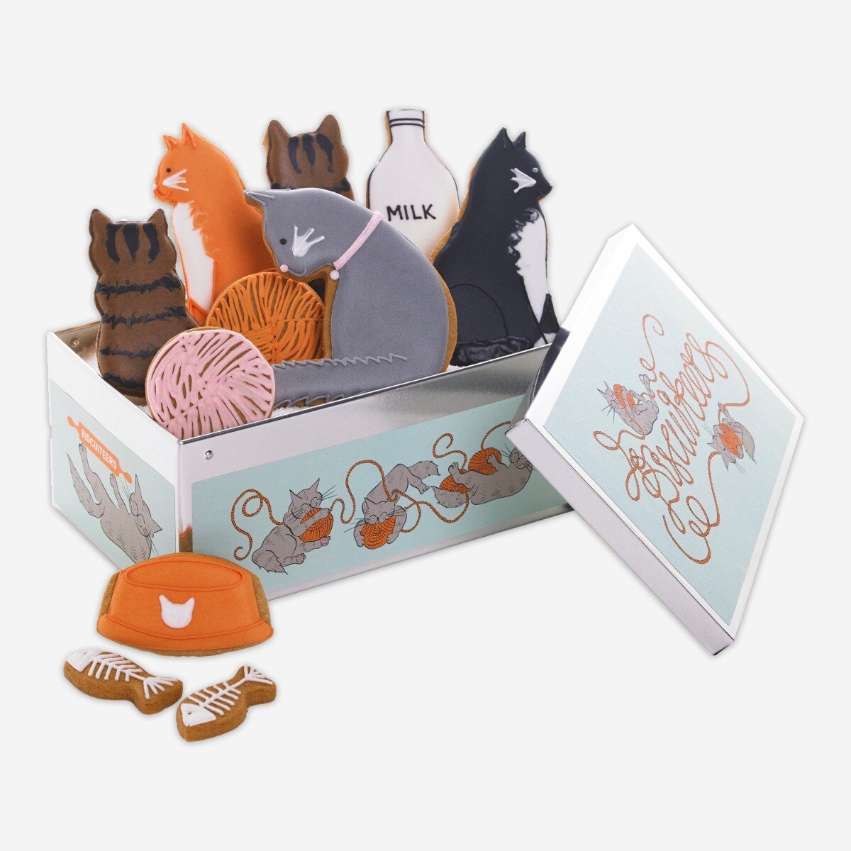 Cat biscuit storage new arrivals