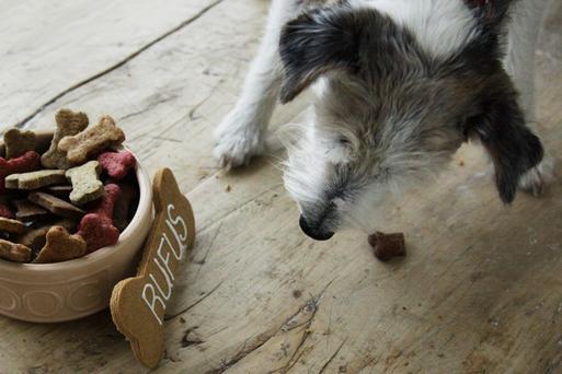 Prescription dog treats new arrivals